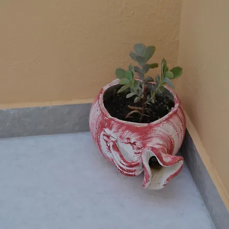 Sunshine Πανσιόν *