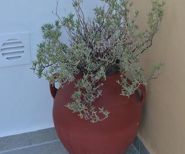 Sunshine Penzion Naxos City